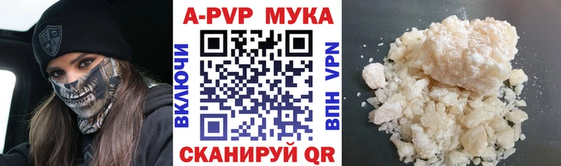 мориарти как зайти  Ворсма  Альфа ПВП СК 