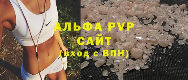 a pvp Бородино