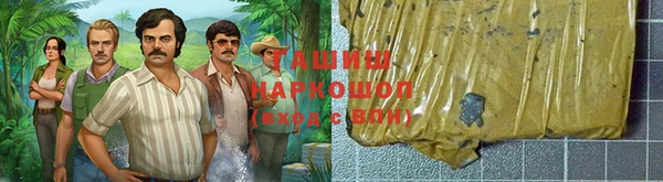 a pvp Бородино