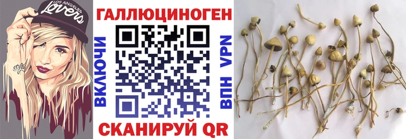 Псилоцибиновые грибы Cubensis  ссылка на мегу tor  Ворсма 
